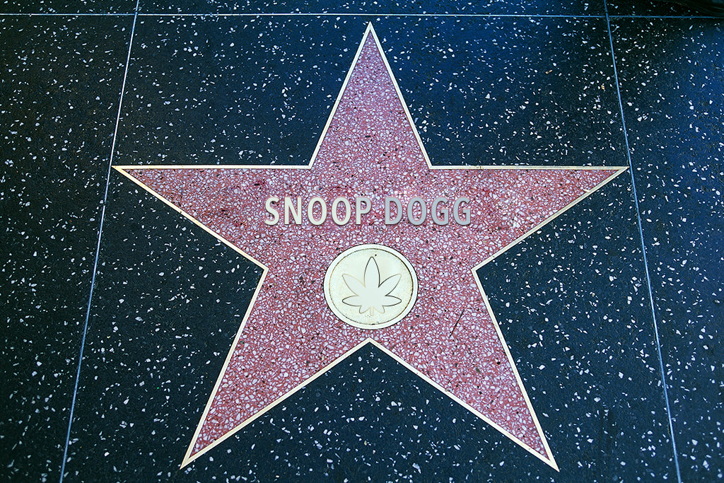 Snoop Dogg Is Getting A Hollywood Walk Of Fame Star