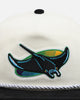 New Era Tampa Bay Rays '2-Tone Corduroy' Golfer Snapback Chrome/Black