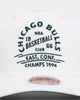 Mitchell & Ness Chicago Bulls State Of Mind Snapback Vintage White