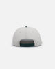 New Era Gwinnett Stripers 'Autumn Hue' 9FORTY A-Frame Snapback Stone/Dark Green