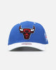 Mitchell & Ness Chicago Bulls '1993 All Stars East' Pro Crown Snapback Blue/White
