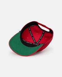 47 Brand St. Louis Cardinals 'MLB Opening Day' Crossrope Hitch Snapback Red