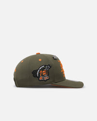 Mitchell & Ness Orlando Magic 'Harmony of Hues' Pro Crown Snapback Olive/Orange