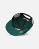 Mitchell & Ness Seattle SuperSonics Retro Matte Nylon Origins Snapback Green