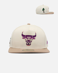 New Era Chicago Bulls 'Summer League' 59FIFTY A-Frame Fitted Chrome