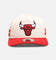 New Era Chicago Bulls 'Stripe' 19TWENTY Snapback Chrome/Official Team Color