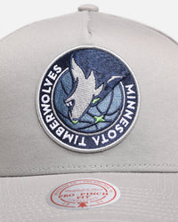 Mitchell & Ness Minnesota Timberwolves 'Upside Down Logo' Pro Pinch Snapback Grey