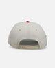 New Era Houston Astros 'Strawberry' 9FORTY A-Frame Snapback Chrome/Red
