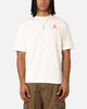 Jordan Flight Essentials Holiday Crew T-Shirt Sail