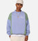 Carre C Star Panelled Crewneck Pale Blue