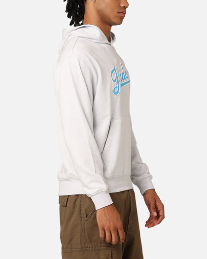 Jordan Flight MVP Fleece Pullover Hoodie Pure Platinum