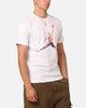 Jordan Brand T-Shirt White