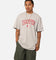 Champion Large Graphic T-Shirt Rubis