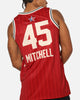 Jordan Donovan Mitchell All-Star 73rd Anniversary Swingman Jersey Team Crimson