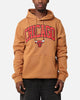 New Era Chicago Bulls Pullover Hoodie Medium Beige