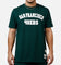 New Era San Francisco 49ers Logo Select T-Shirt Dark Green