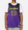 Nike Lebron James Los Angeles Lakers #23 City Edition 2024/25 Nike Dri-Fit NBA Swingman Jersey Field Purple