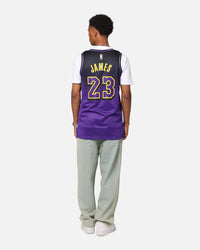 Nike Lebron James Los Angeles Lakers #23 City Edition 2024/25 Nike Dri-Fit NBA Swingman Jersey Field Purple