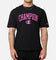 Champion Heritage Varsity Graphic T-Shirt Pink