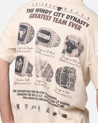 Mitchell & Ness Chicago Bulls Greatest Team T-Shirt Pink