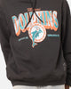 Mitchell & Ness Miami Dolphins Arch Hoodie Faded Black