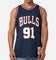 Mitchell & Ness Chicago Bulls Dennis Rodman 'Acai' 1995 Swing Jersey Navy