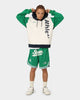 Starter Athletic Panel Hoodie Navy/Green