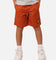 Santa Cruz Kids' Classic Dot Switch Shorts Brown