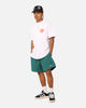 X-Large Contrast Hike Shorts Pine