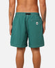 X-Large Contrast Hike Shorts Pine