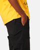 Champion Reb Element Hike Pants Black