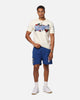 Pro Standard Los Angeles Dodgers Roses Mesh Shorts Dark Blue