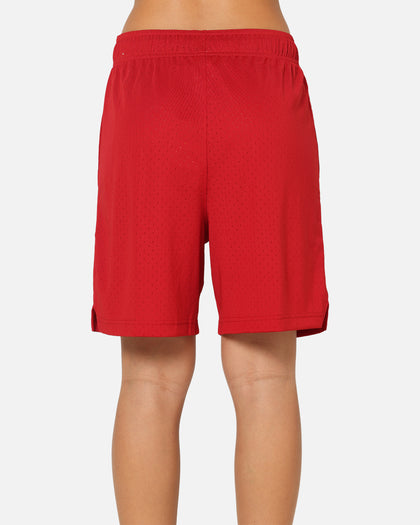 Jordan Sport Dri-FIT Mesh Shorts Gym Red/Black
