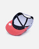 47 Brand Boston Red Sox 47 Hitch Trucker Snapback Red