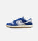 Nike Dunk Low Retro SE Grey