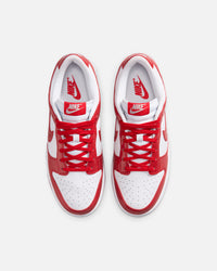 WMNS NIKE DUNK LOW SE