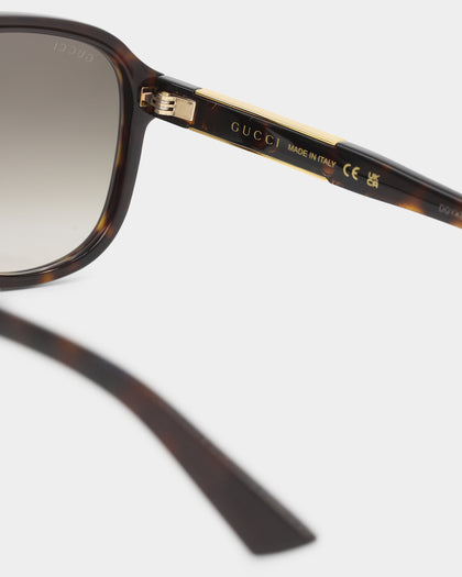 Gucci GG1188S003 Sunglasses Havana