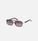 Belvior & Co Hayward Sunglasses Tort/Smoke
