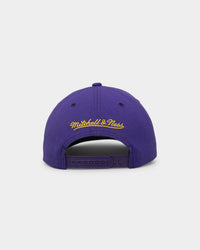 Mitchell & Ness Los Angeles Lakers 'Wool Blend' Snapback Purple
