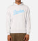 Jordan Flight MVP Fleece Pullover Hoodie Pure Platinum