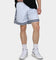 19Nine Georgetown Legacy Shorts Grey