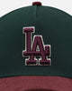 New Era Los Angeles Dodgers 'Rhubarb Cord' 9FORTY A-Frame Snapback Dark Green
