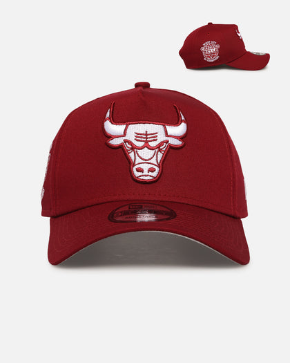New Era Chicago Bulls 'Chicago Bulls Polychromatic' 9FORTY A-Frame Snapback Cardinal