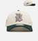 New Era Detroit Tigers 'Chrome Dark Green' 9FORTY A-Frame Snapback Chrome/Dark Green