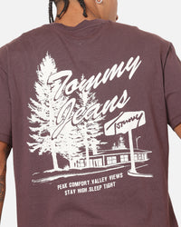 Tommy Jeans Relax Novelty T-Shirt Brown