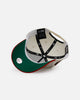 New Era Detroit Tigers 'Strawberry' 9FORTY A-Frame Snapback Chrome/Red