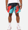 Mitchell & Ness Memphis Grizzlies 30 Year Shorts Black/Teal