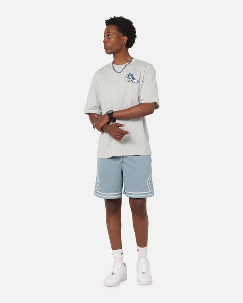 Jordan Dri-FIT Mesh Diamond Shorts Aviator Grey
