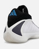 Adidas Anthony Edwards 2 "Alphadawg" Multi
