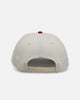New Era Toronto Raptors 'Strawberry' 9FORTY A-Frame Snapback Chrome/Red
